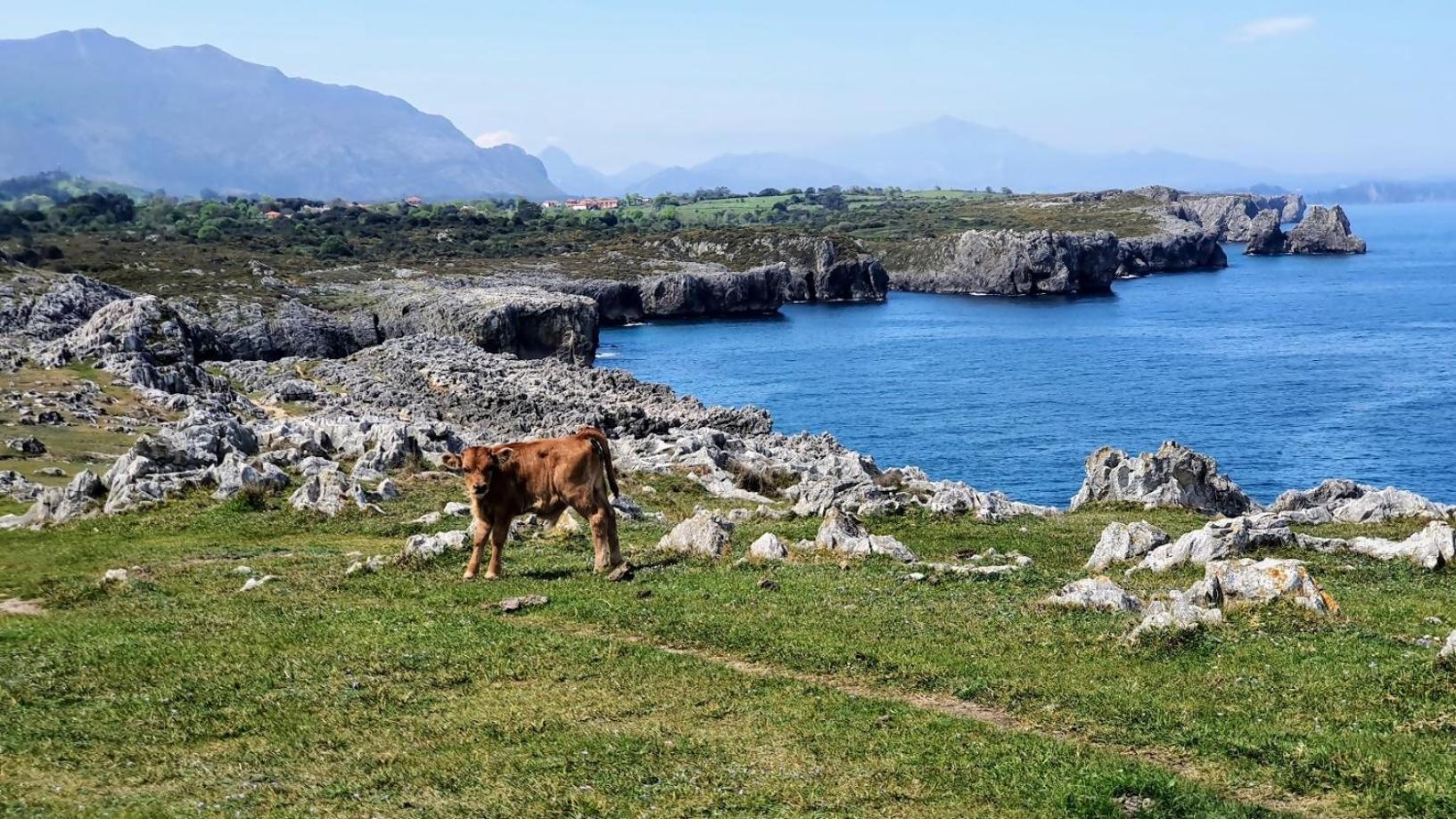 Casa Vacacional Paula Villa Llanes Luaran gambar